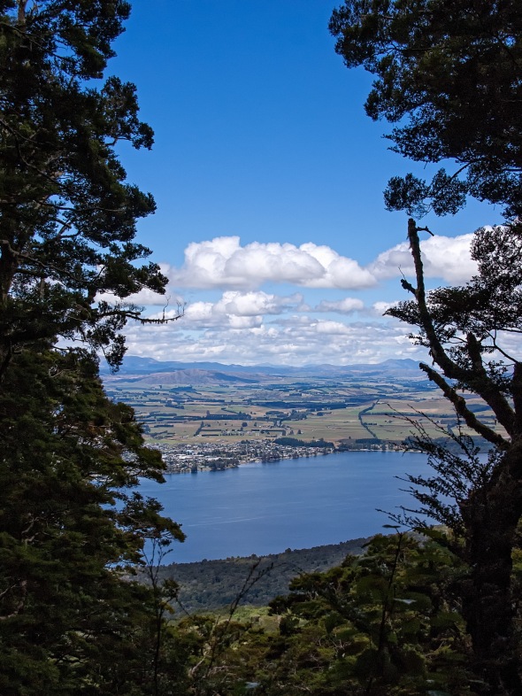 Kepler Track, Lake Te Anau, Otago, New Zealand, Copyright Chris Gregory 2013