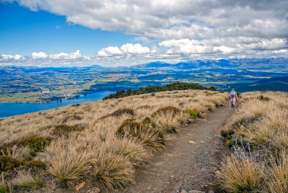 Alpine Grasslands, Kepler Track, Lake Te Anau, Otago, New Zealand, Copyright Chris Gregory 2013